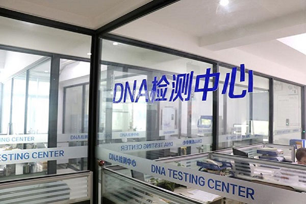 ̨DNA